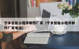 金华宁乡智能小程序制作厂家（宁乡智能小程序制作厂家电话）