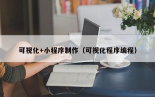 金华可视化+小程序制作（可视化程序编程）